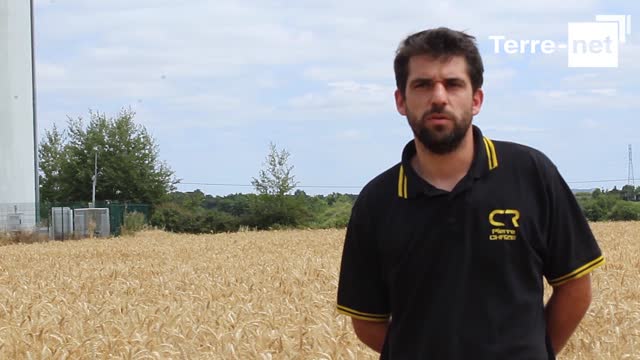 [Reportage] Moissonneuses-batteuses - Le système IntelliSense de New Holland remplace le chauffeur