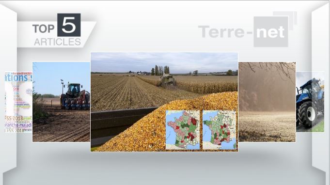 Top articles - Cette semaine : rendements en maïs grain, météo de fin d'année, T7 New Holland