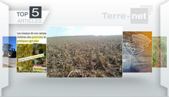 Top articles - A la Une : transmission New Holland, disparition des oiseaux et état des colzas