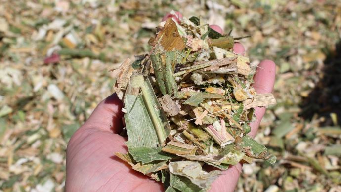 Ensilage avec technique DuraShredder de New Holland